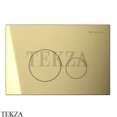 Aqueduto CIRCULO Novo Панель-клавиша смыва для унитаза CIR0250, шлифованное золото Aqueduto CIRCULO Novo Панель-клавиша смыва для унитаза CIR0250, шлифованное золото